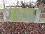 image of grave number 559019